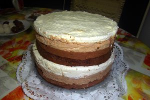 Tort Vis de ciocolata