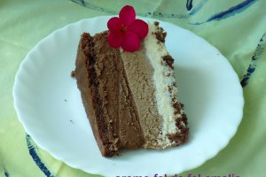 Tort Vis de ciocolata