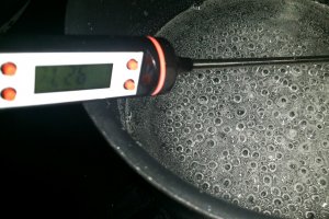 Tarte cu lamaie si bezea