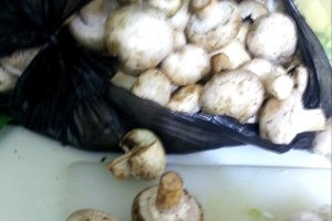 Tocanita de ciuperci cu marar
