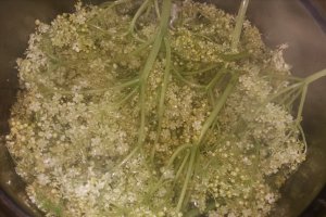 Sirop de soc
