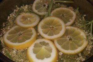 Sirop de soc