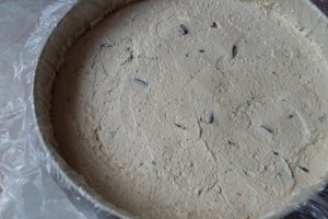 Cheesecake cu unt de arahide si ciocolata - Reteta nr. 500