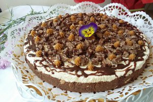 Cheesecake cu unt de arahide si ciocolata - Reteta nr. 500