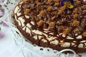 Cheesecake cu unt de arahide si ciocolata - Reteta nr. 500