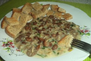 Ciulama de pleurotus cu bureti de roua