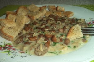 Ciulama de pleurotus cu bureti de roua