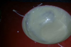 Panna cotta in forma de ou