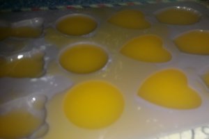 Panna cotta in forma de ou