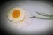 Panna cotta in forma de ou-6