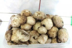 Supa crema de ciuperci