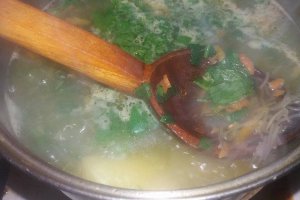 Supa cu ceapa verde si cu bors