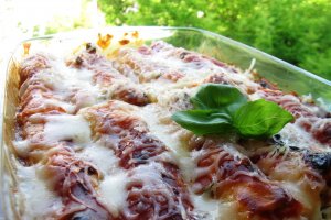 Cannelloni cu pui