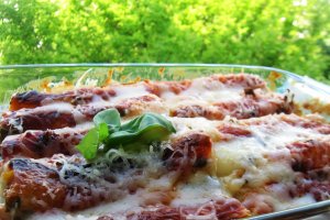 Cannelloni cu pui