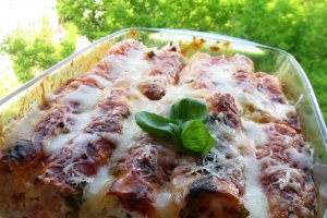 Cannelloni cu pui