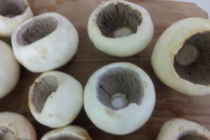 Ciuperci umplute cu somon și parmezan