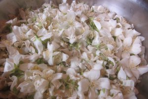 Sirop din flori de iasomie