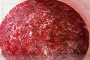 Dulceata de capsuni reteta