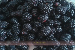 Dulceata de mure