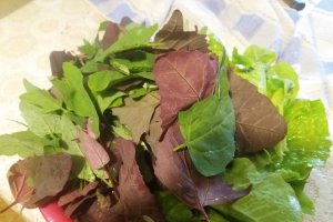 Ciorba de loboda si salata cu taitei de casa