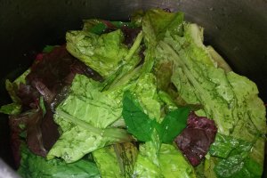 Ciorba de loboda si salata cu taitei de casa