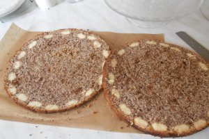 Tort cu nuci, migdale si crema cu ness ( Reteta cu nr.900 )