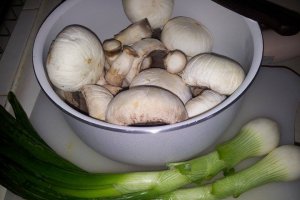 Piept de pui la grill cu ciuperci champignon