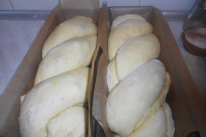 Cozonac fara framantare