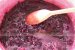 Dulceata de cirese-1