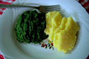 Urzici grecesti