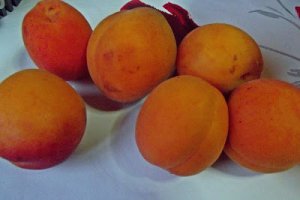 Inghetata cu caise, nuci si caramel