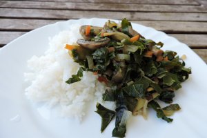 Legume sotate cu varza portugheza si sos de soia