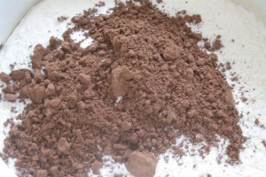 Prajitura cu cacao, visine si caise - de post