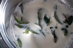 Prajitura cu crema de lamaie si menta