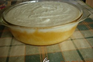 Budinca de gris