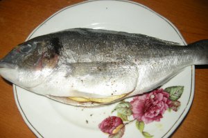 Dorada in crusta de sare la cuptor