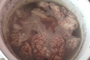 Creier pane de Bucovina