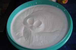 TORT "SAVOARE DE VARA"