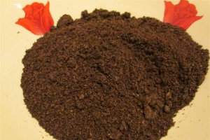 Cheesecake cu oreo (copt)