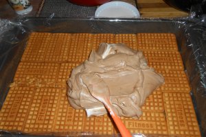 Tort 47