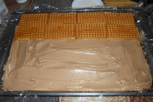 Tort 47