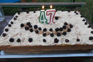 Tort 47