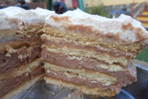 Tort 47