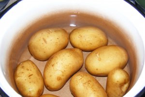 Salata de cartofi cu resturi de friptura