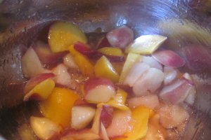 Budinca din perle tapioca cu sos de mango si nectarine