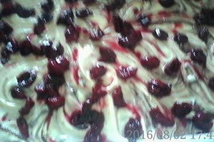 CHEC CU VISINE