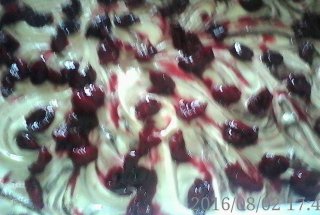 CHEC CU VISINE