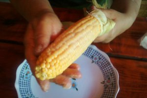 Porumb la gratar