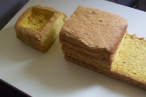 Tort trenulet- trenul tuc ,tuc :))