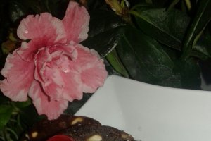 Salam de biscuiţi, reţetă cu fructe confiate